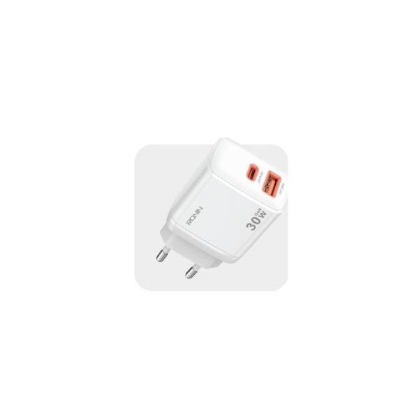 Ronin R-6030 Charger