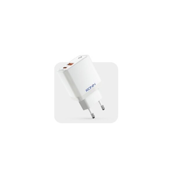 Ronin R-6050 Charger