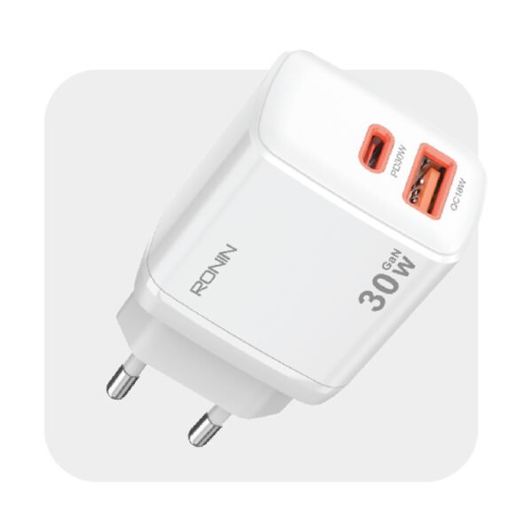Ronin R-6030 Charger