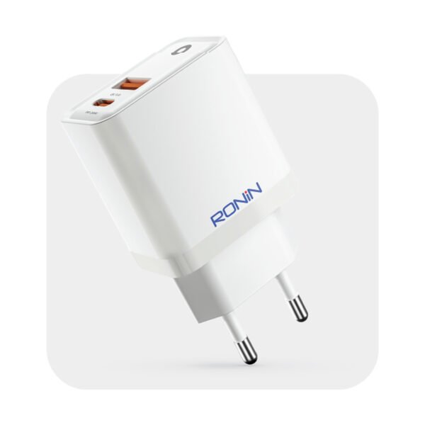 Ronin R-6050 Charger